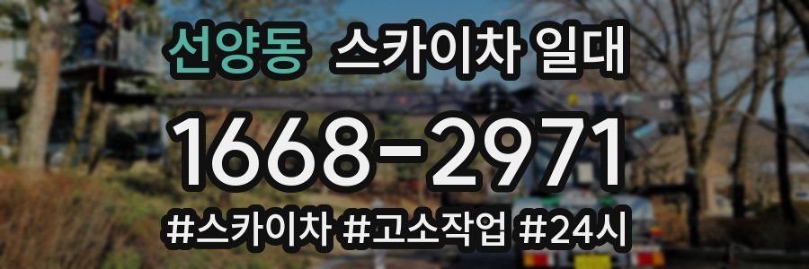 선양동 스카이차 일대