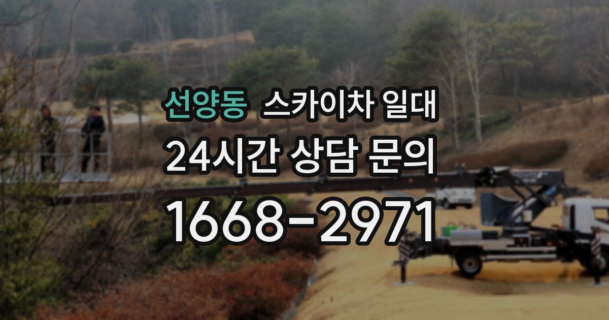 선양동 스카이차 일대