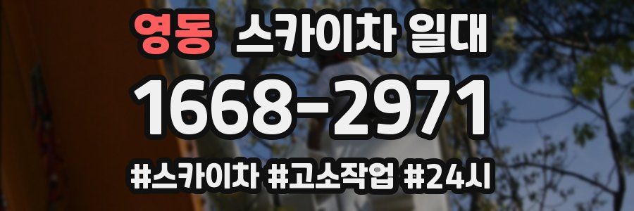 영동 스카이차 일대