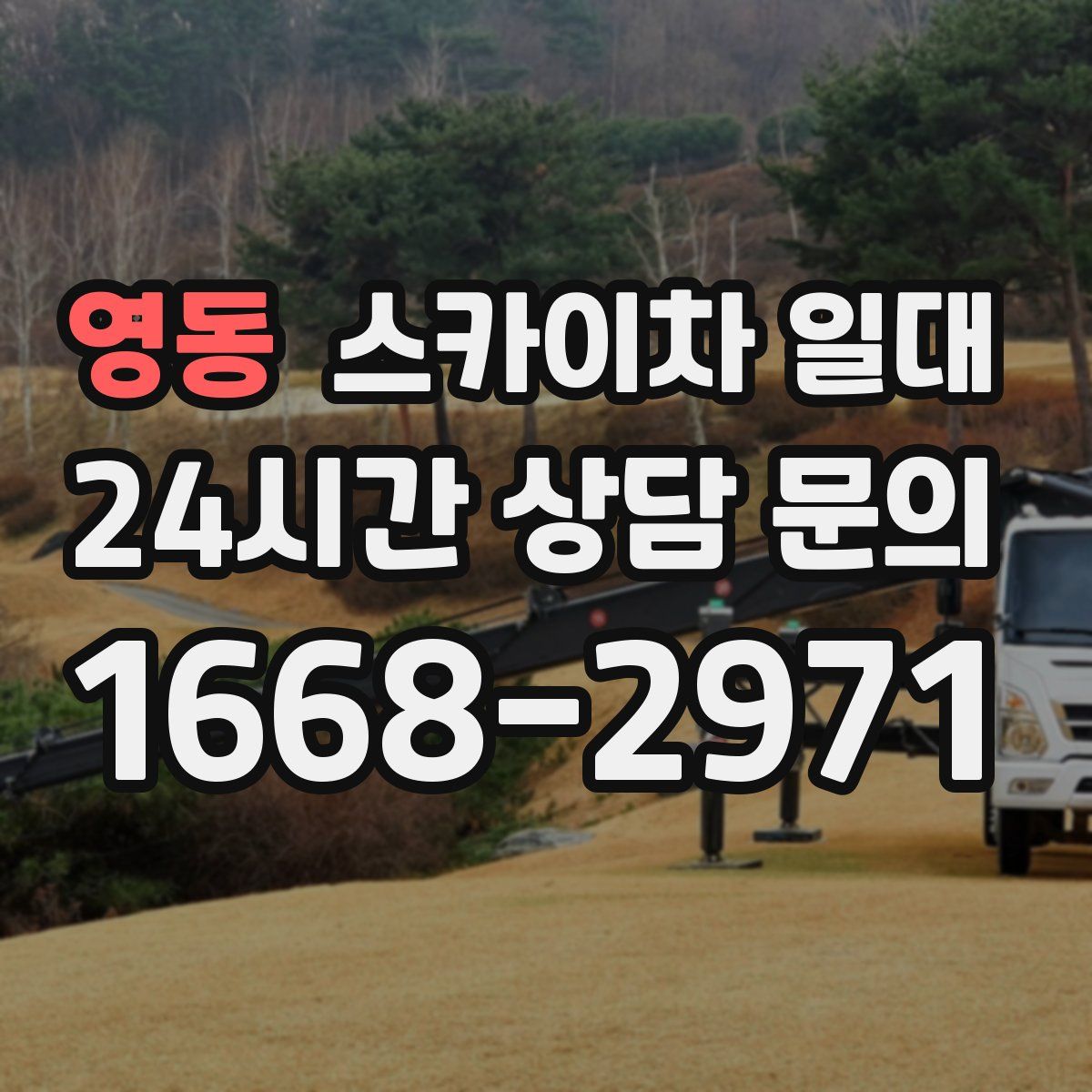 영동 스카이차 일대