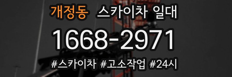 개정동 스카이차 일대