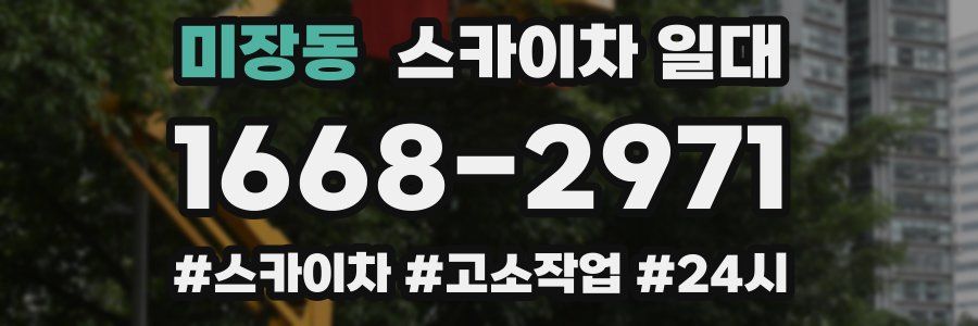 미장동 스카이차 일대
