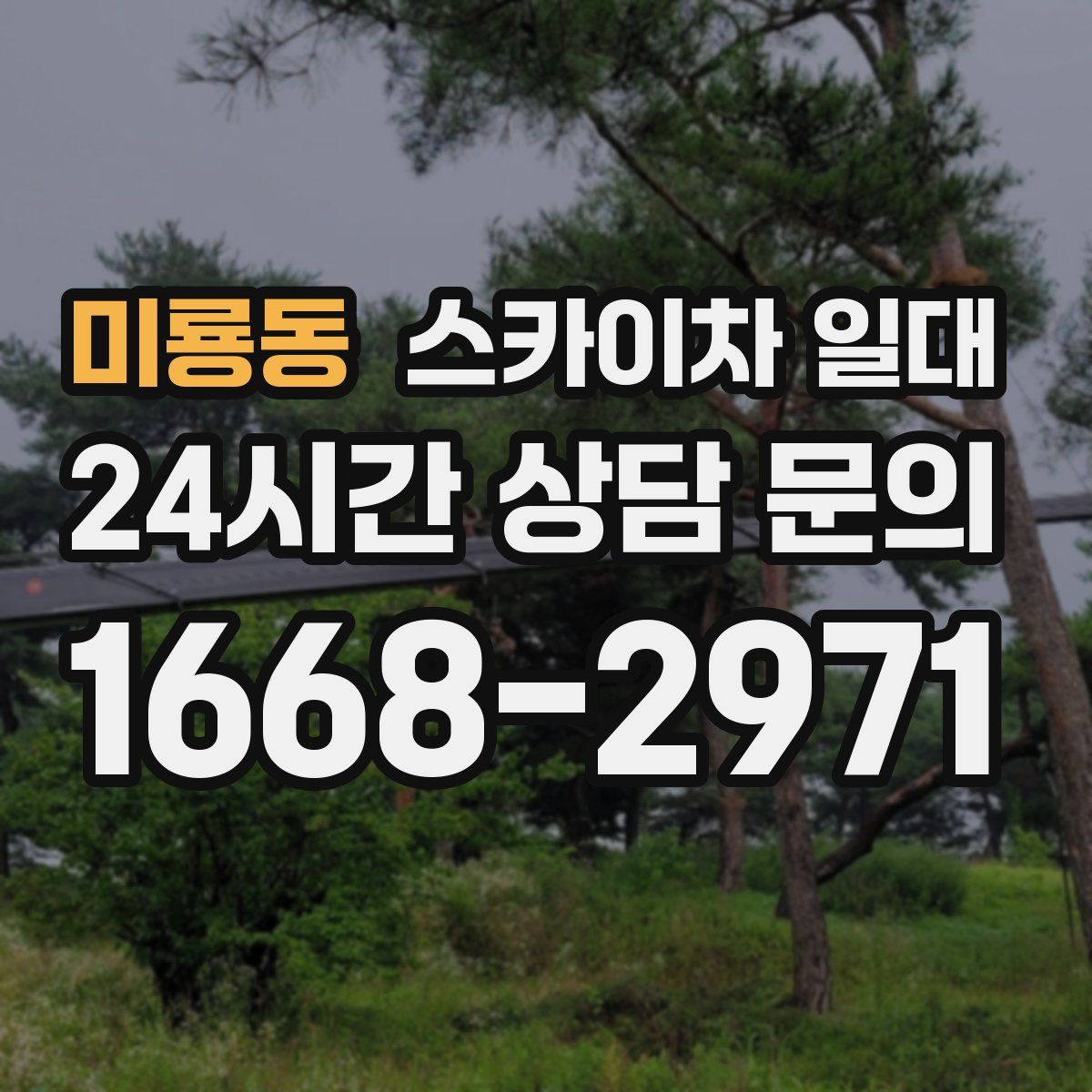 미룡동 스카이차 일대
