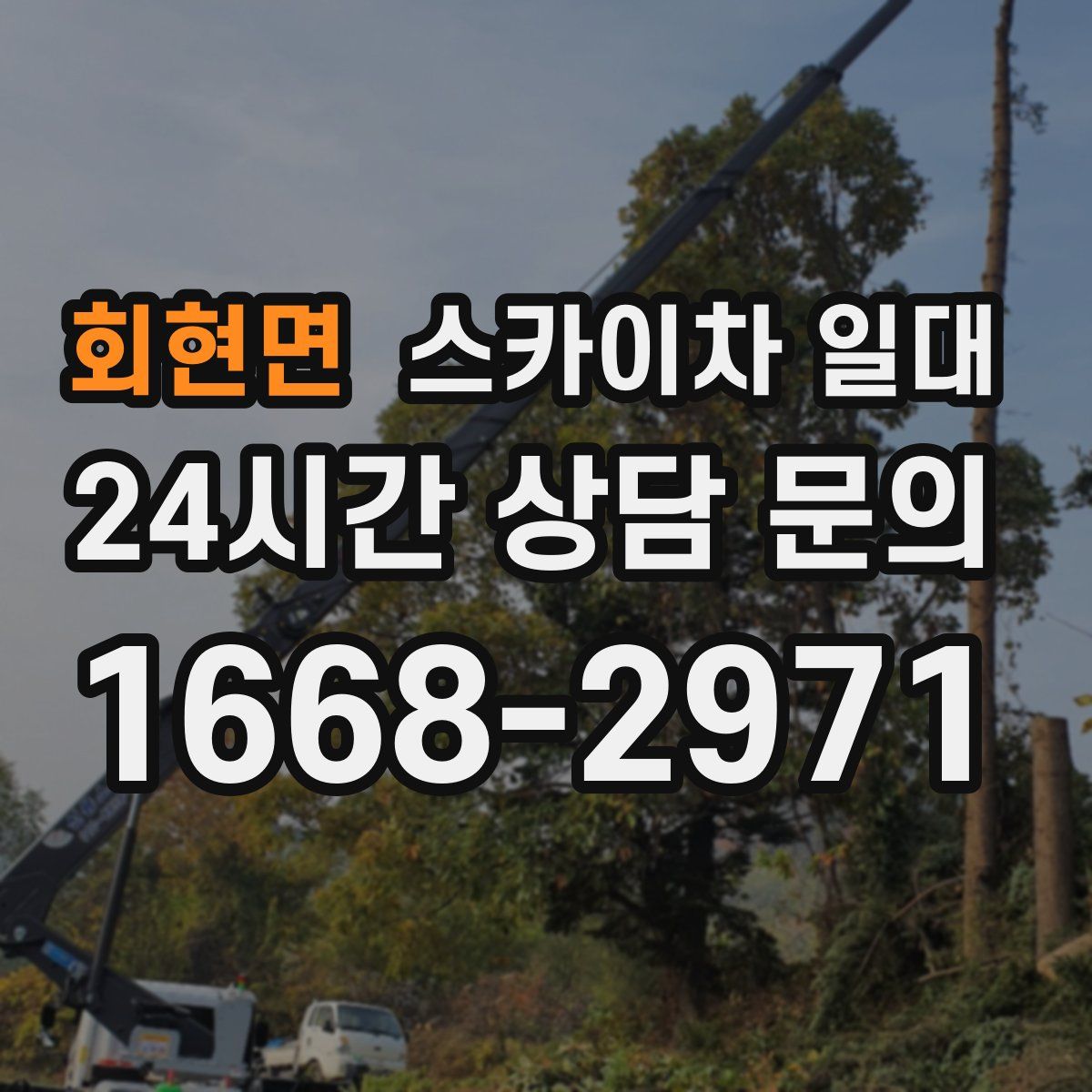 회현면 스카이차 일대