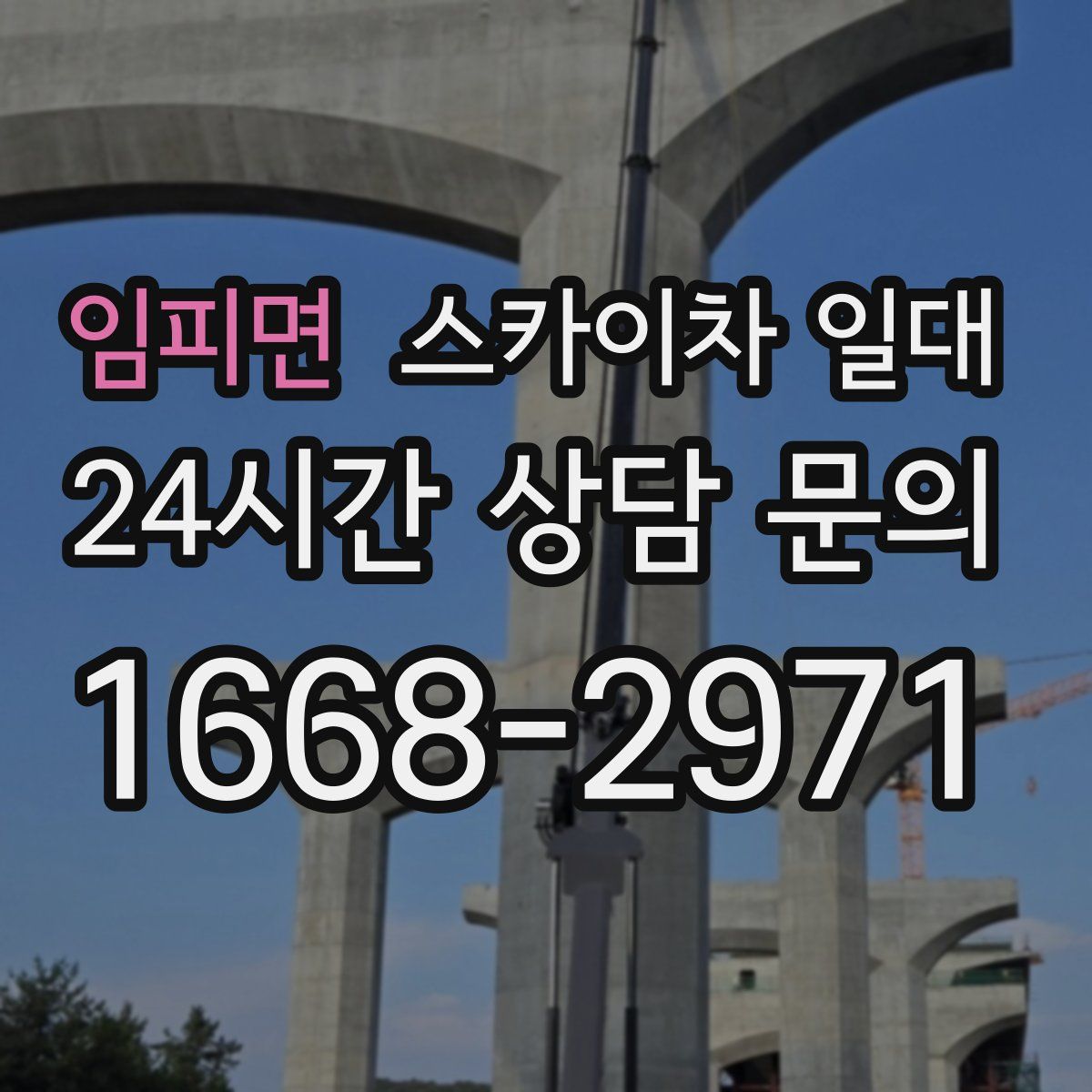 임피면 스카이차 일대