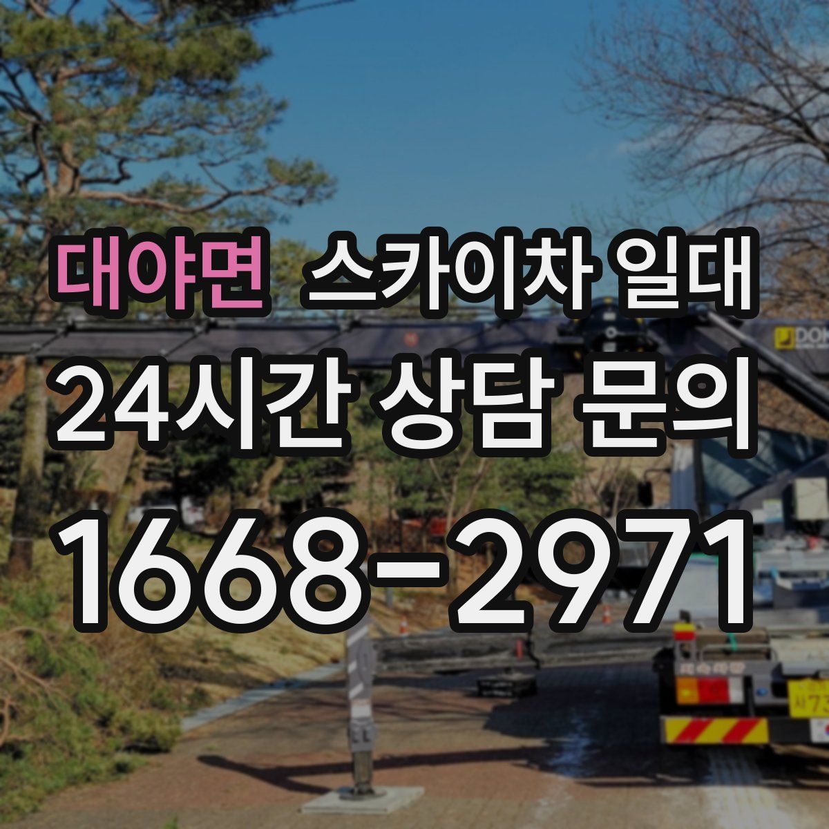 대야면 스카이차 일대
