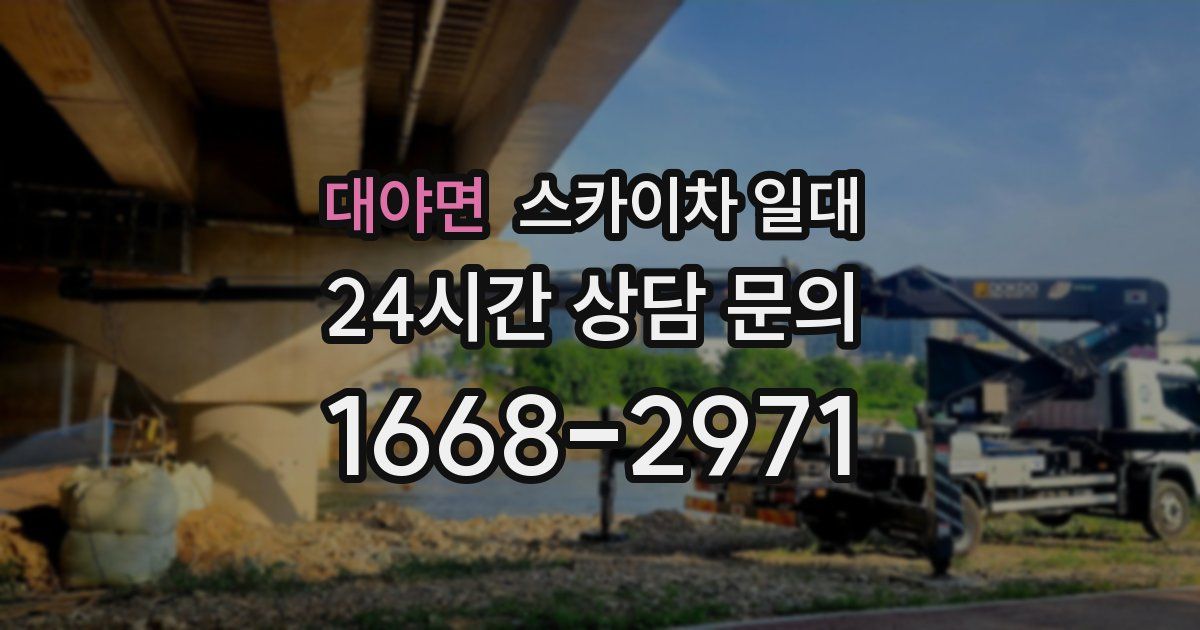대야면 스카이차 일대