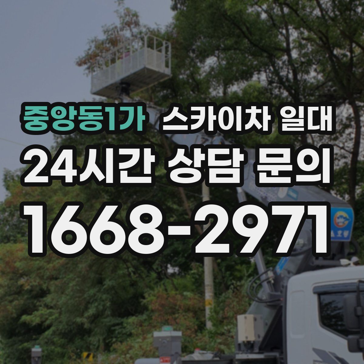 중앙동1가 스카이차 일대