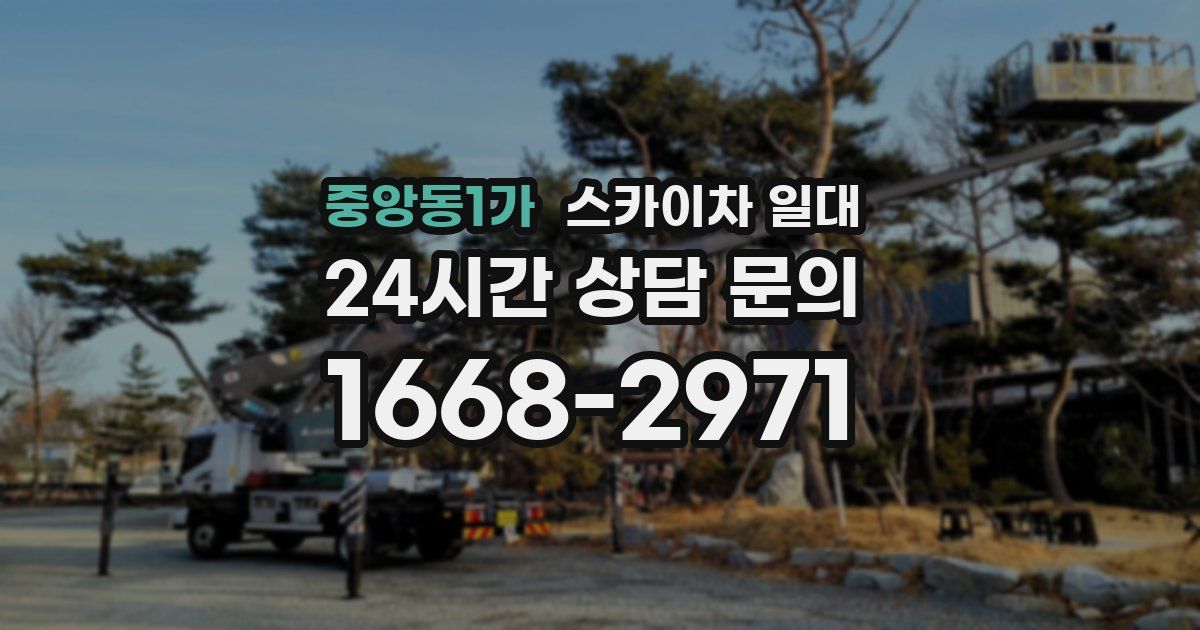 중앙동1가 스카이차 일대