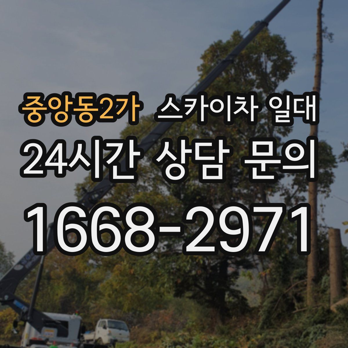 중앙동2가 스카이차 일대