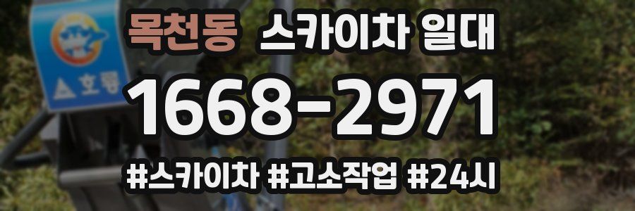 목천동 스카이차 일대