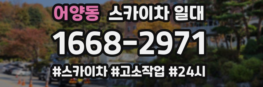 어양동 스카이차 일대