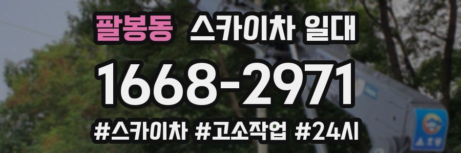 팔봉동 스카이차 일대