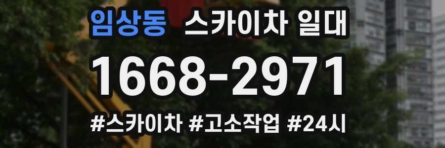 임상동 스카이차 일대