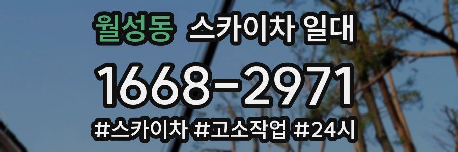월성동 스카이차 일대