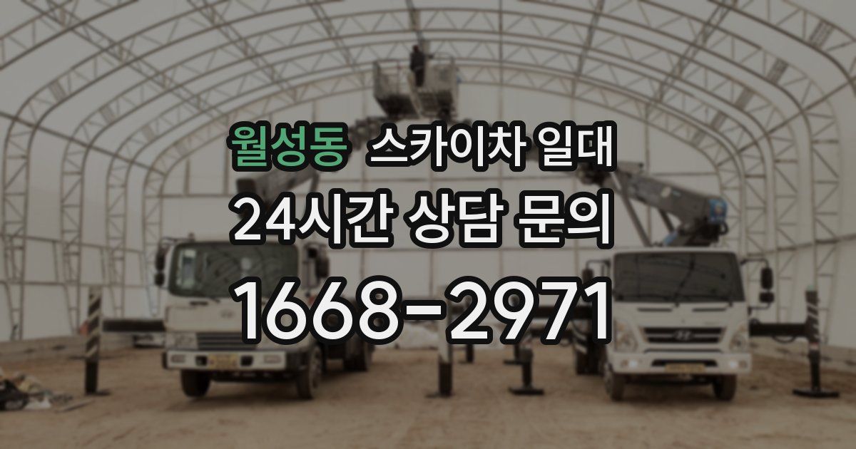 월성동 스카이차 일대