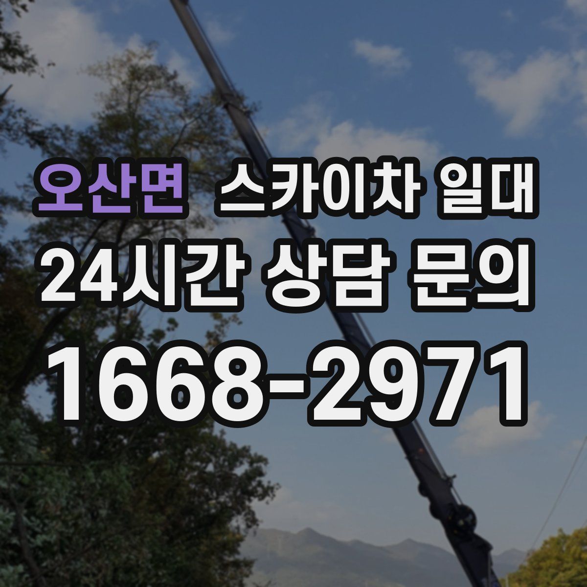 오산면 스카이차 일대
