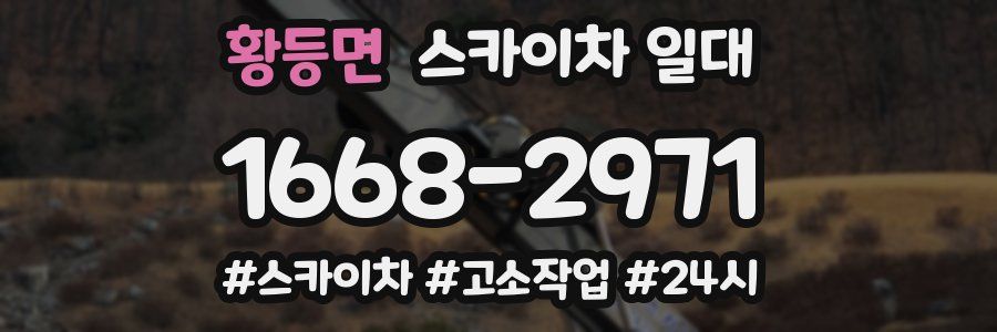 황등면 스카이차 일대