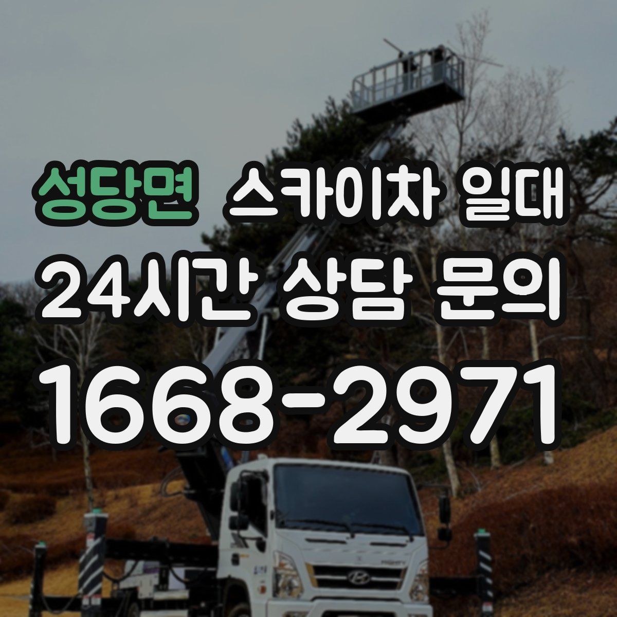 성당면 스카이차 일대