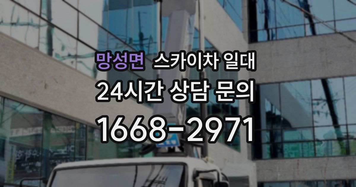 망성면 스카이차 일대