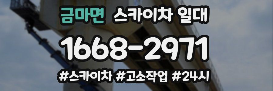 금마면 스카이차 일대