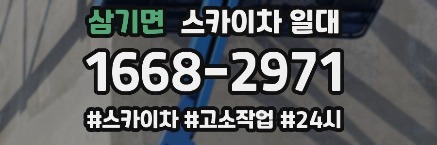 삼기면 스카이차 일대