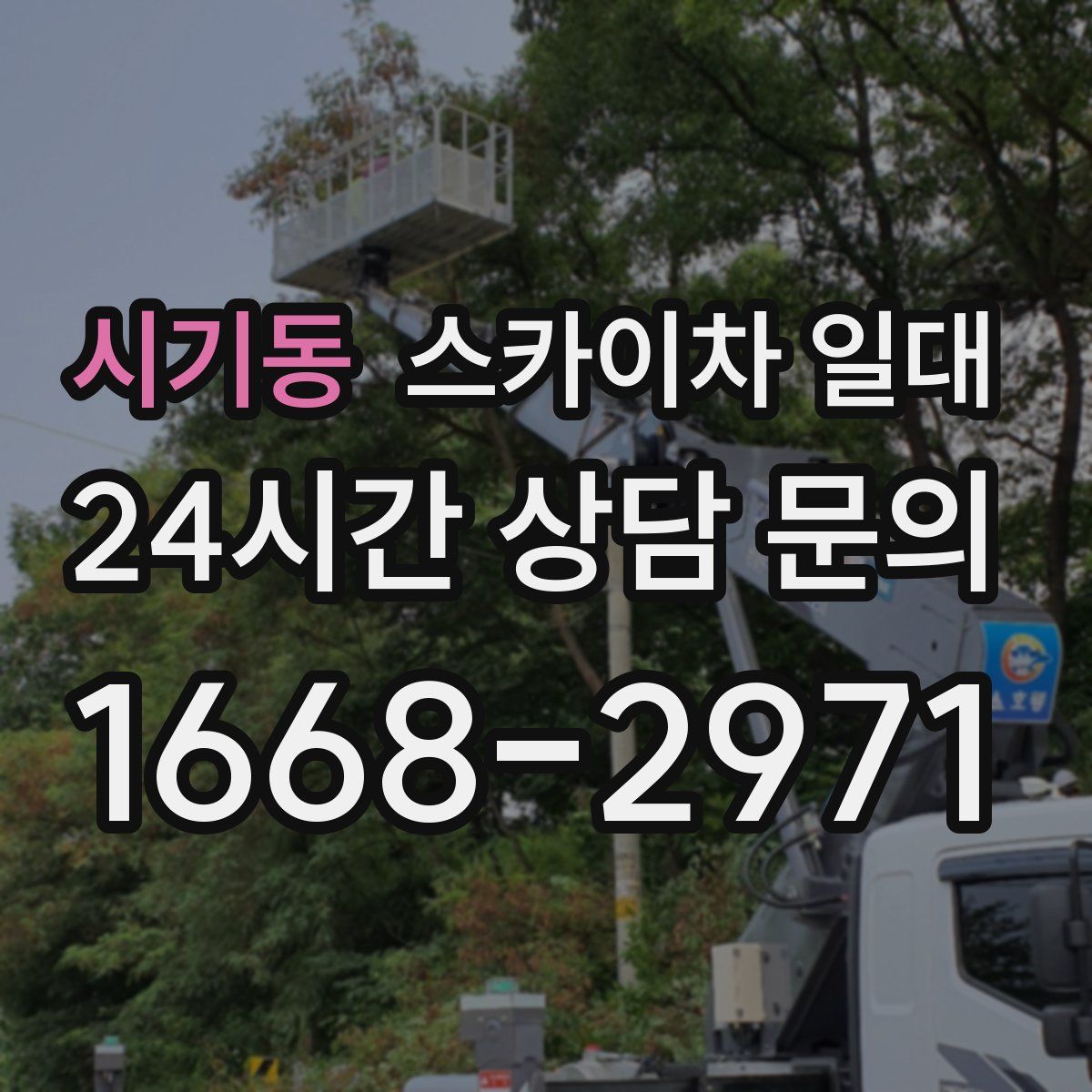 시기동 스카이차 일대