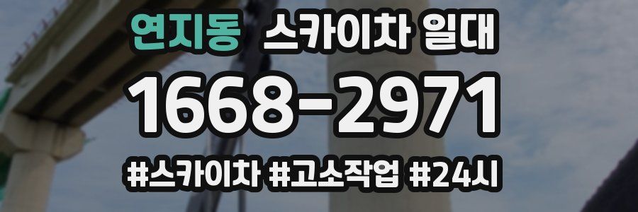 연지동 스카이차 일대