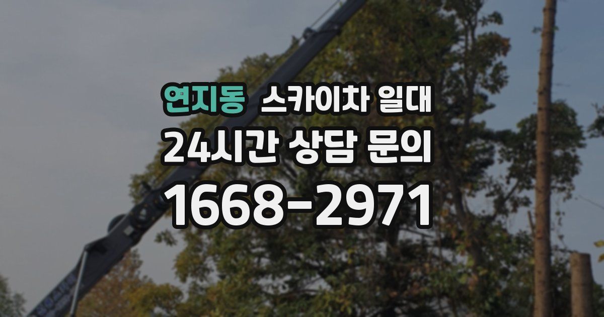 연지동 스카이차 일대