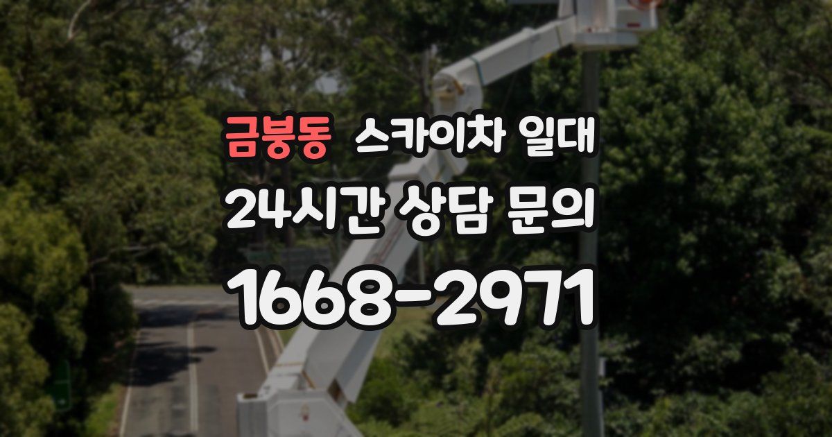 금붕동 스카이차 일대