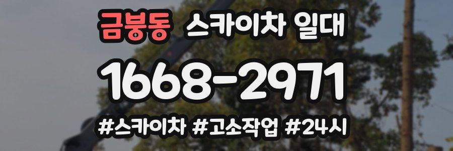 금붕동 스카이차 일대