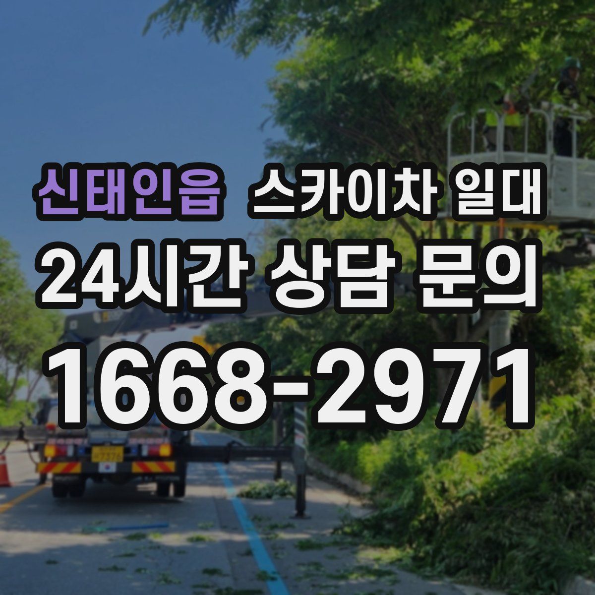 신태인읍 스카이차 일대