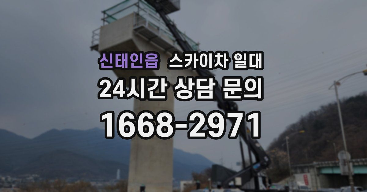 신태인읍 스카이차 일대