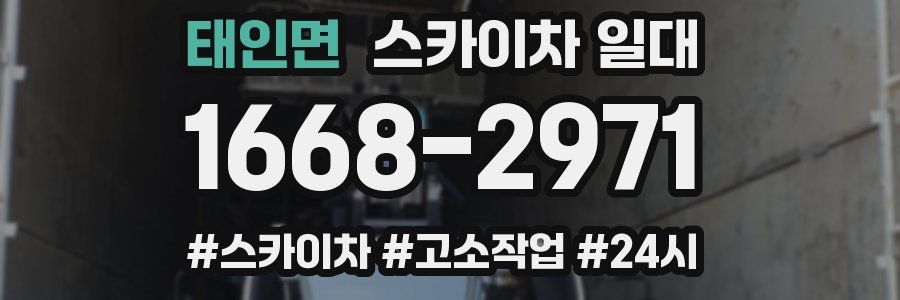 태인면 스카이차 일대