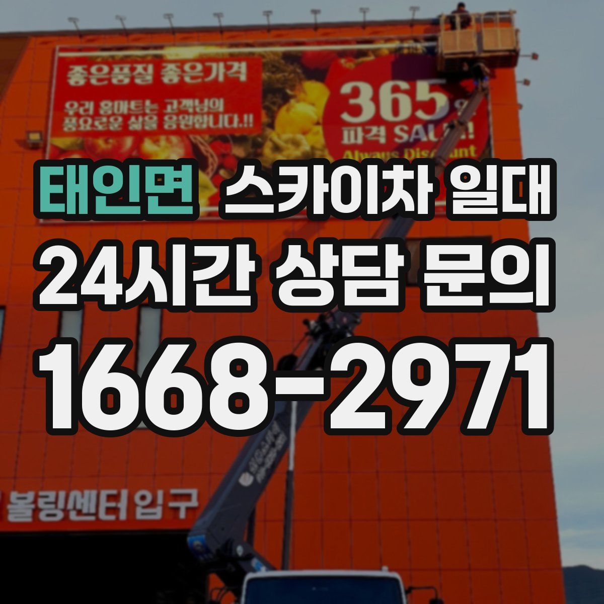 태인면 스카이차 일대