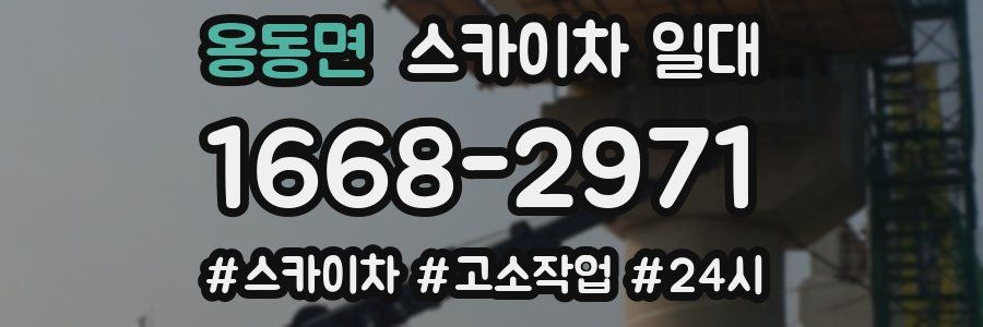 옹동면 스카이차 일대