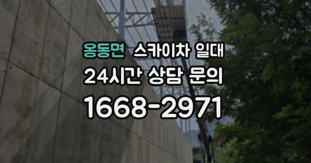 옹동면 스카이차 일대