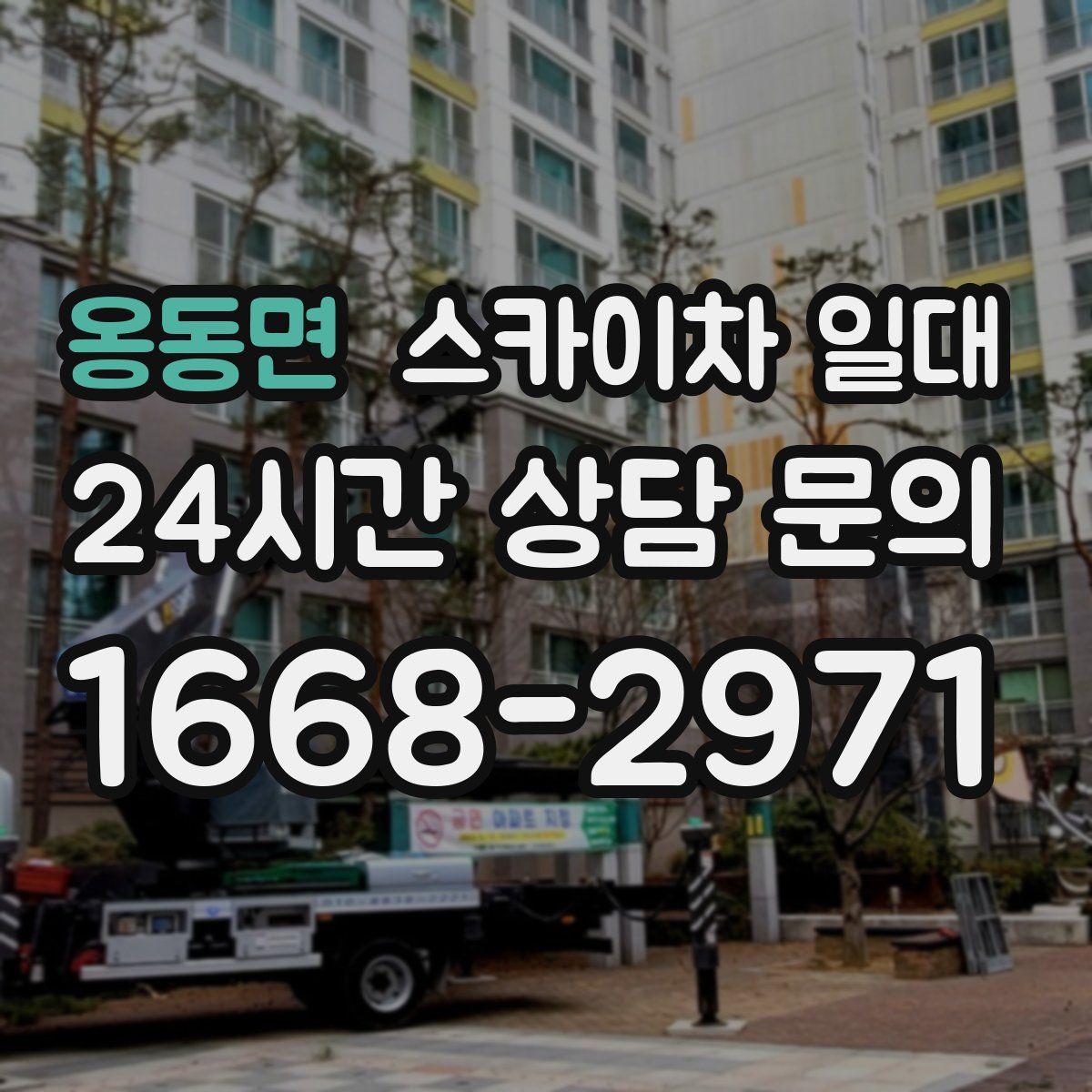 옹동면 스카이차 일대