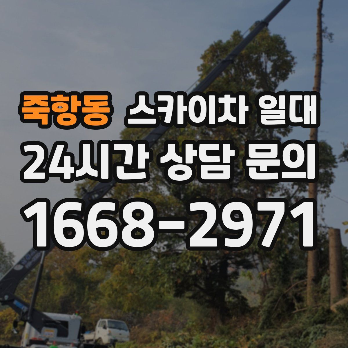 죽항동 스카이차 일대