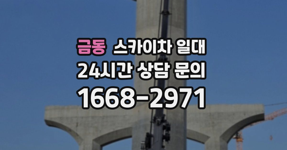 금동 스카이차 일대