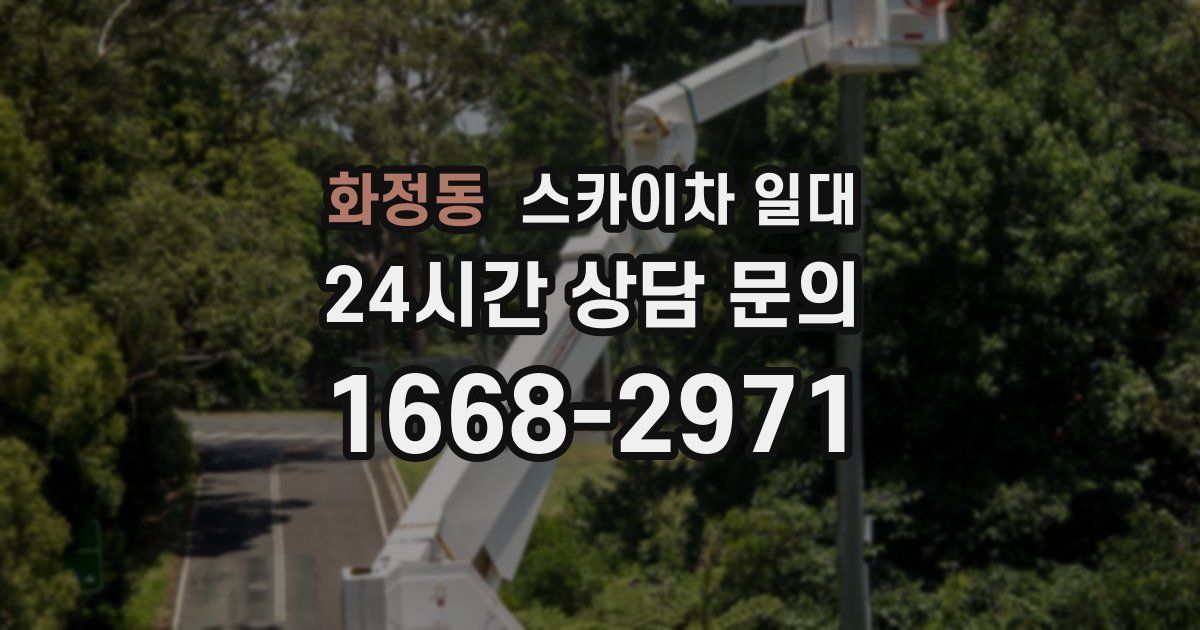 화정동 스카이차 일대