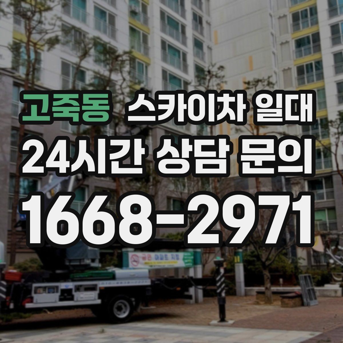 고죽동 스카이차 일대 계절별 이용 포인트
