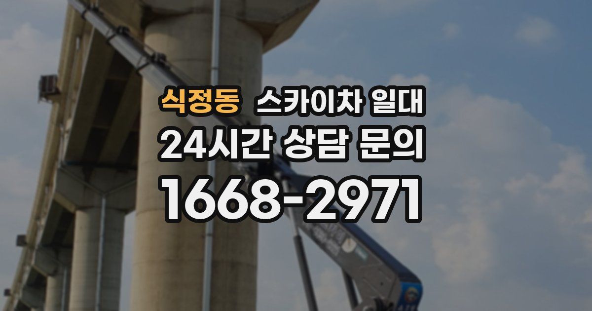 식정동 스카이차 일대
