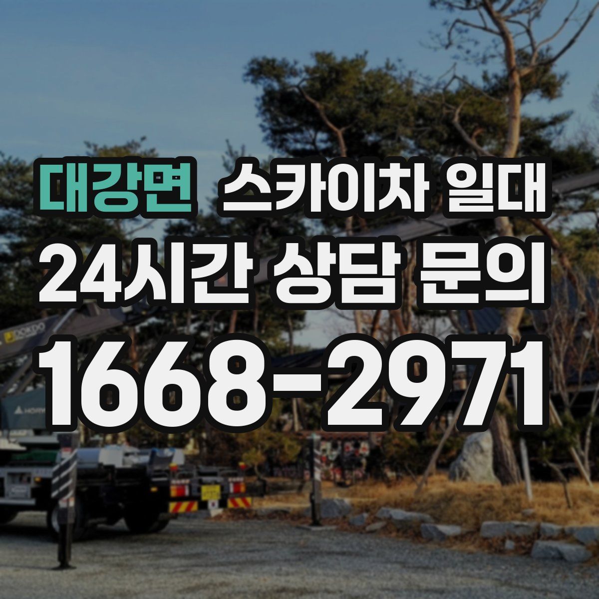 대강면 스카이차 일대