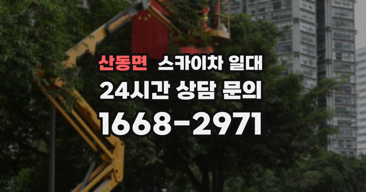 산동면 스카이차 일대