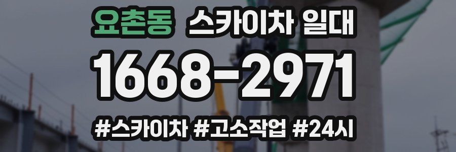 요촌동 스카이차 일대