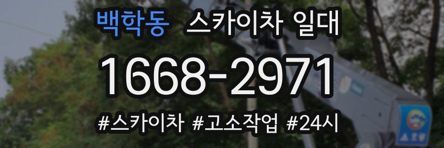 백학동 스카이차 일대