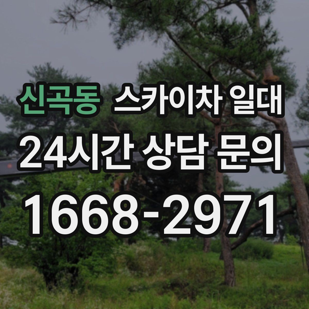 신곡동 스카이차 일대 문의 시 확인하면 좋은 정보