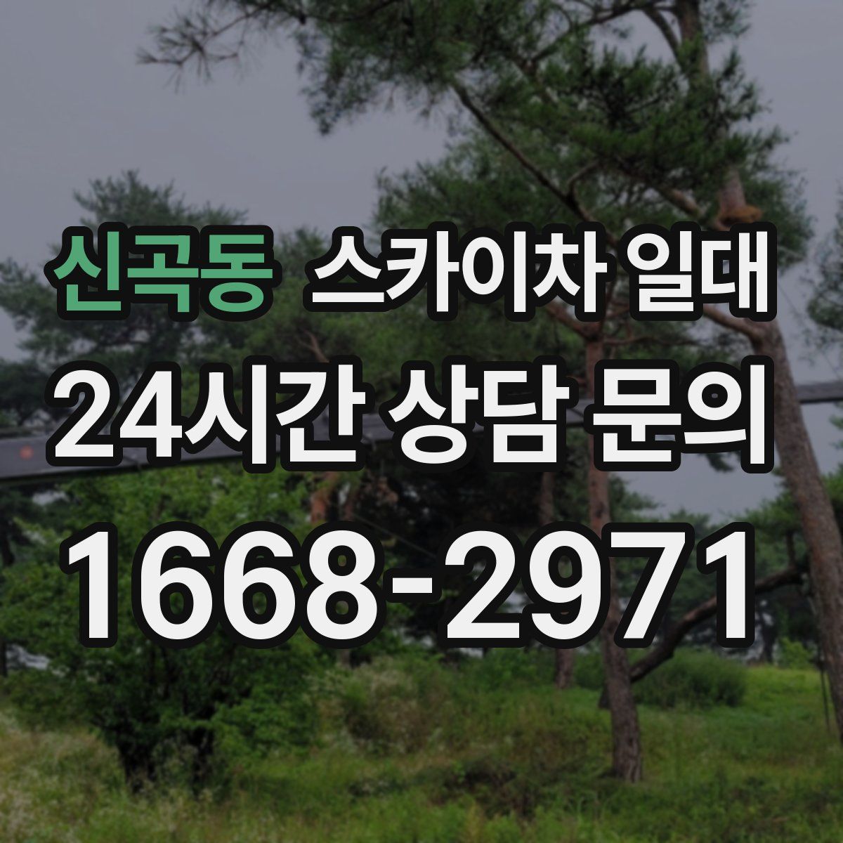신곡동 스카이차 일대