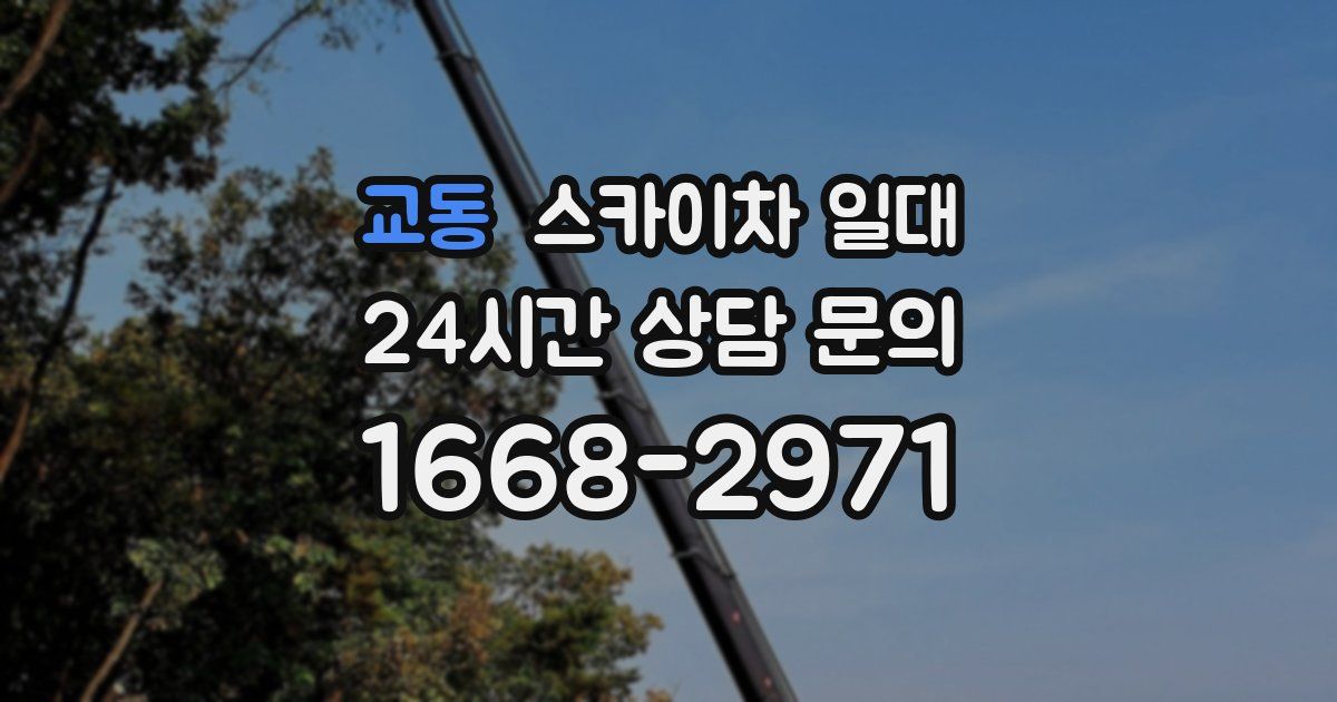 교동 스카이차 일대